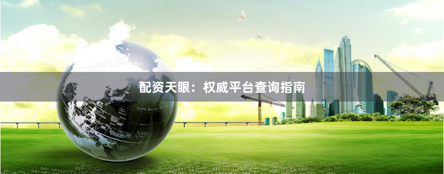 配资天眼：权威平台查询指南
